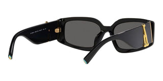 Tiffany & Co. TF 4208U women Black Geometric Sunglasses