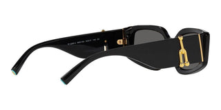 Tiffany & Co. TF 4208U women Black Geometric Sunglasses