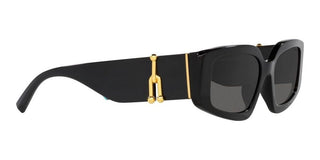 Tiffany & Co. TF 4208U women Black Geometric Sunglasses