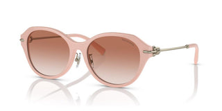 Tiffany & Co. TF 4210D women Pink Oval Sunglasses