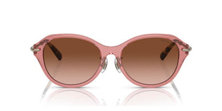 Tiffany & Co. TF 4210D women Pink Oval Sunglasses