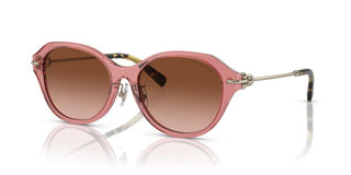 Tiffany & Co. TF 4210D women Pink Oval Sunglasses