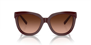 Tiffany & Co. TF 4215 women Brown Cat Eye Sunglasses