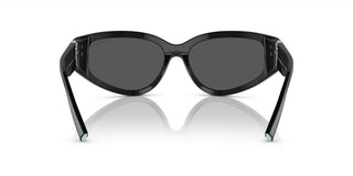 Tiffany & Co. TF 4217 women Black Geometric Sunglasses