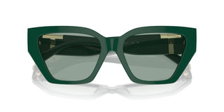 Tiffany & Co. TF 4218 women Green Butterfly Sunglasses