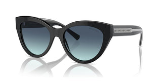 Tiffany & Co. TF 4220 women Black Cat Eye Sunglasses