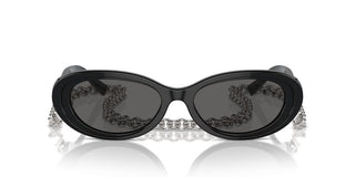 Tiffany & Co. TF 4221 women Black Oval Sunglasses