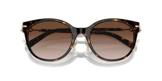 Tiffany & Co. TF 4223D women Havana Cat Eye Sunglasses