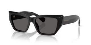 Tiffany & Co. TF 4230 women Black Cat Eye Sunglasses