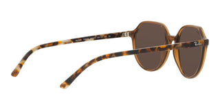 Ray-Ban THALIA RB 2195 unisex Brown Round Sunglasses