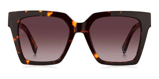 Tommy Hilfiger TH 2100/S women Havana Butterfly Sunglasses