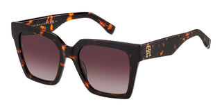 Tommy Hilfiger TH 2100/S women Havana Butterfly Sunglasses