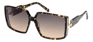 Tod's TO0289 women Havana Geometric Sunglasses