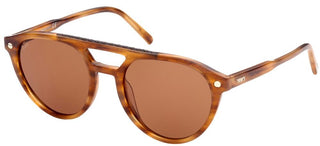 Tod's TO0308 unisex Havana Pilot Sunglasses