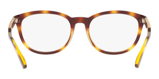 Arnette VARNEY AN 7214 men Havana Squared Eyeglasses