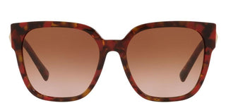 Valentino VA 4111 women Havana Geometric Sunglasses