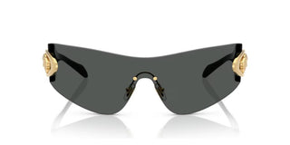 Versace VE 2280 men Grey Shield Sunglasses