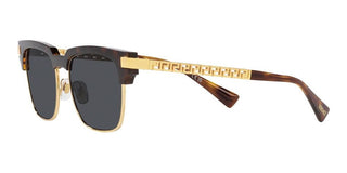 Versace VE 4447 men Havana Geometric Sunglasses