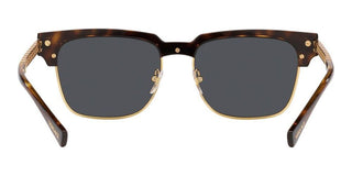 Versace VE 4447 men Havana Geometric Sunglasses