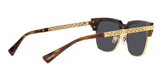 Versace VE 4447 men Havana Geometric Sunglasses