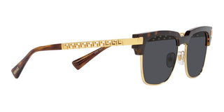 Versace VE 4447 men Havana Geometric Sunglasses