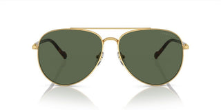 Vogue VO 4290S men Gold Pilot Sunglasses