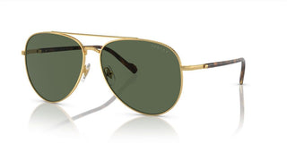 Vogue VO 4290S men Gold Pilot Sunglasses