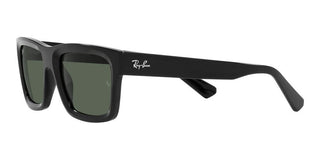 Ray-Ban WARREN RB 4396 unisex Black Geometric Sunglasses