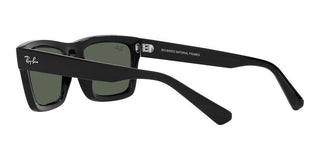 Ray-Ban WARREN RB 4396 unisex Black Geometric Sunglasses