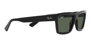 Ray-Ban WARREN RB 4396 unisex Black Geometric Sunglasses