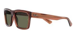 Ray-Ban WARREN RB 4396 unisex Brown Geometric Sunglasses