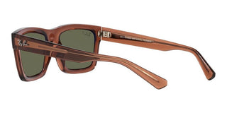 Ray-Ban WARREN RB 4396 unisex Brown Geometric Sunglasses