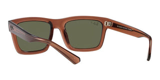 Ray-Ban WARREN RB 4396 unisex Brown Geometric Sunglasses