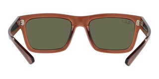 Ray-Ban WARREN RB 4396 unisex Brown Geometric Sunglasses