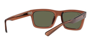 Ray-Ban WARREN RB 4396 unisex Brown Geometric Sunglasses