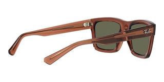 Ray-Ban WARREN RB 4396 unisex Brown Geometric Sunglasses