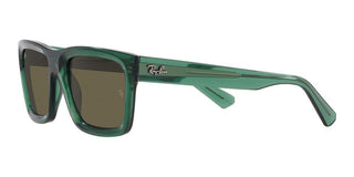 Ray-Ban WARREN RB 4396 unisex Blue Geometric Sunglasses